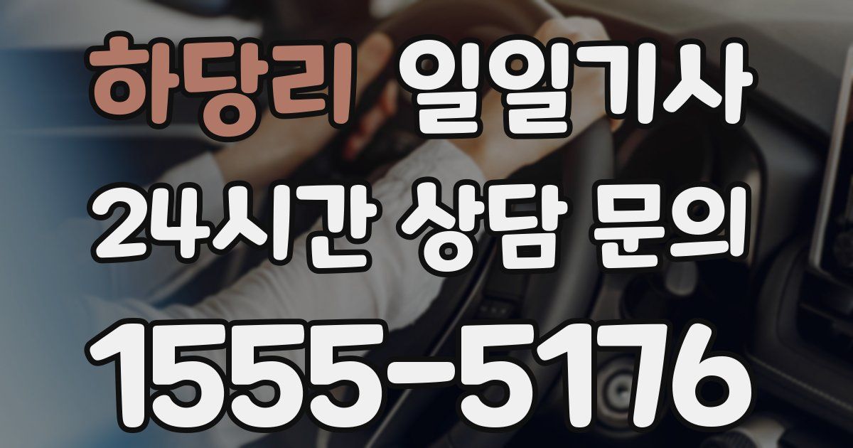 일일대리기사