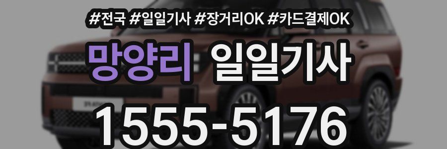 망양리 일일기사