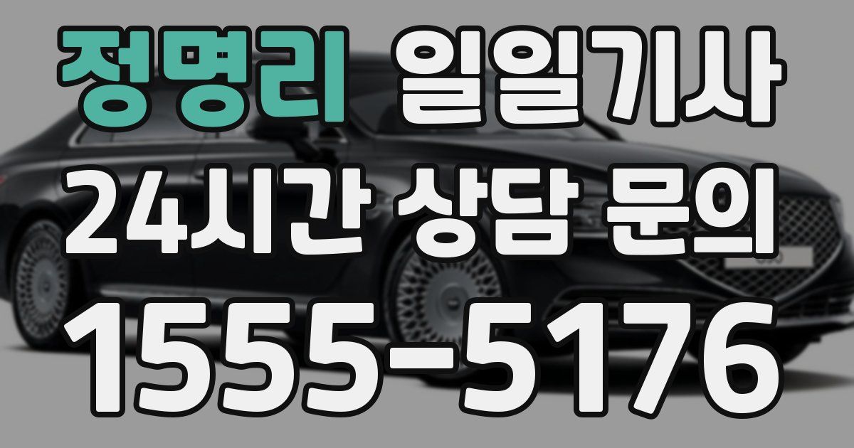 일일대리기사