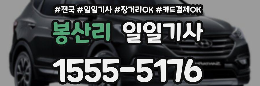 봉산리 일일기사