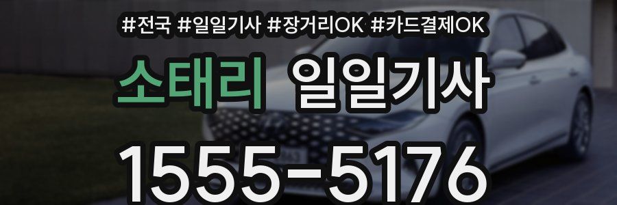 소태리 일일기사