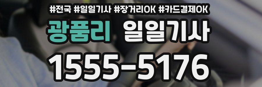 광품리 일일기사