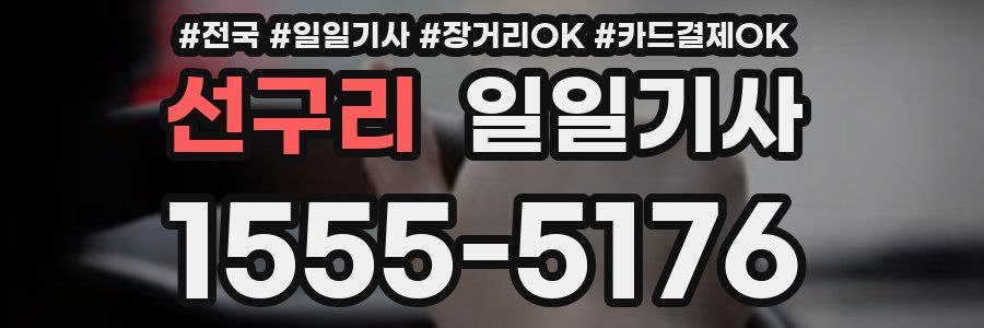 선구리 일일기사