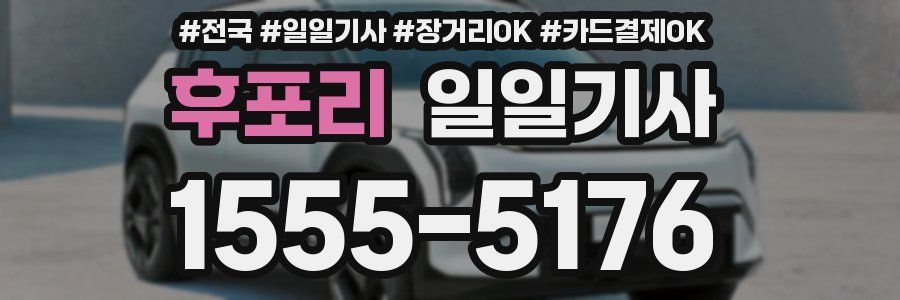 후포리 일일기사