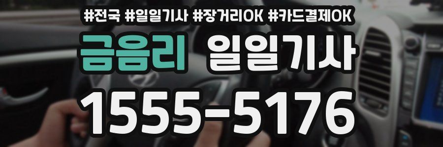 금음리 일일기사