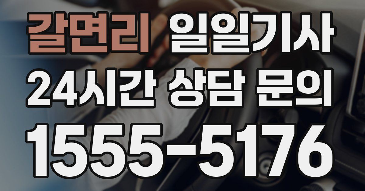 일일대리기사