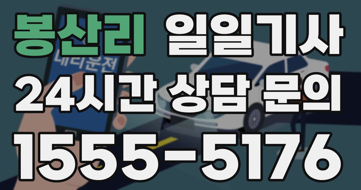 일일대리기사
