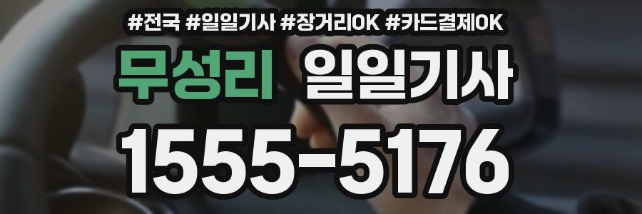 무성리 일일기사