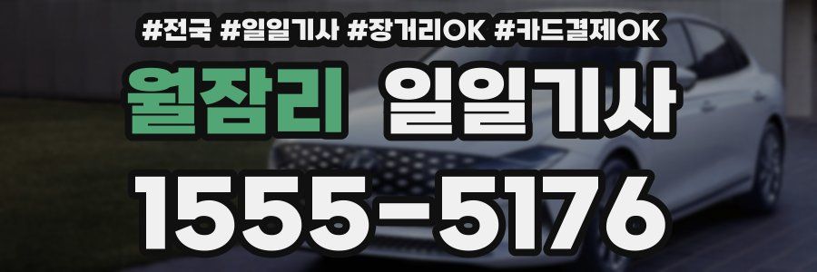 월잠리 일일기사