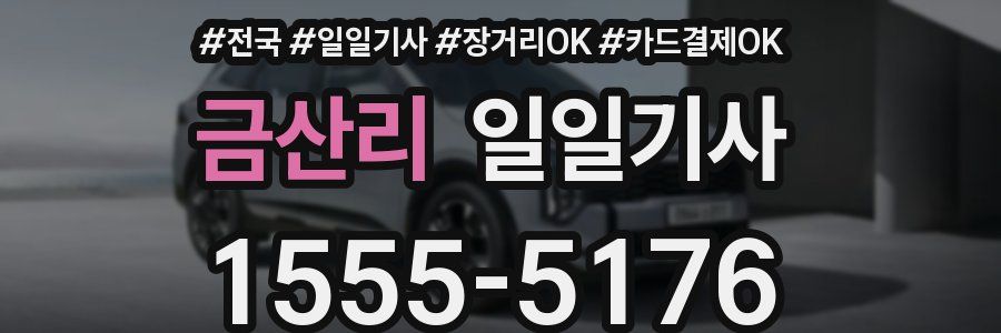 금산리 일일기사