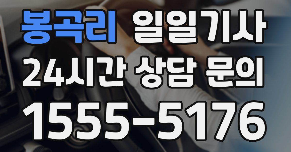 일일대리기사