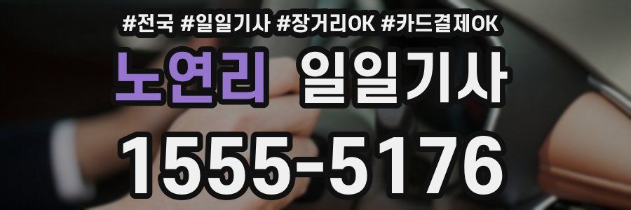 노연리 일일기사