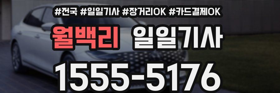 월백리 일일기사