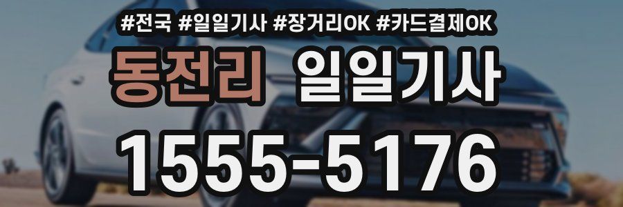 동전리 일일기사