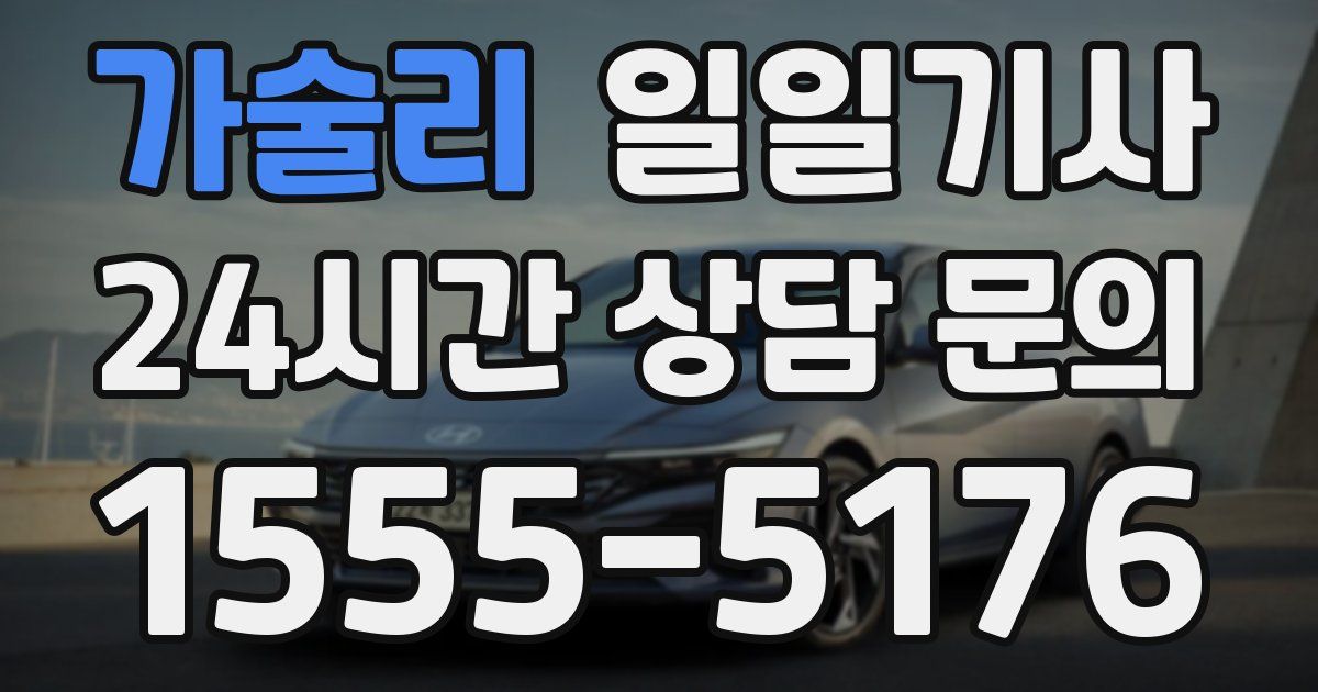 일일대리기사