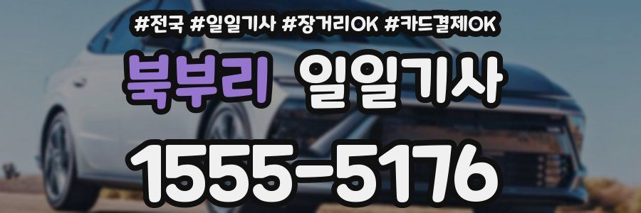 북부리 일일기사