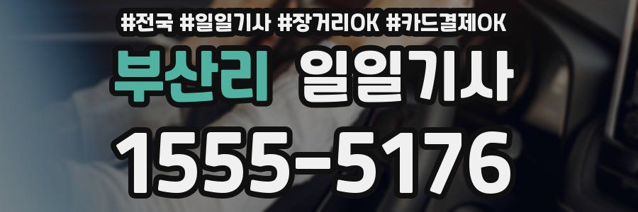 부산리 일일기사