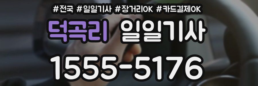 덕곡리 일일기사