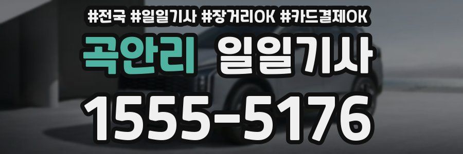 곡안리 일일기사