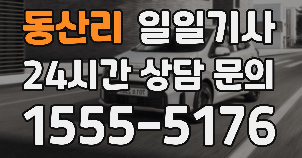 일일대리기사