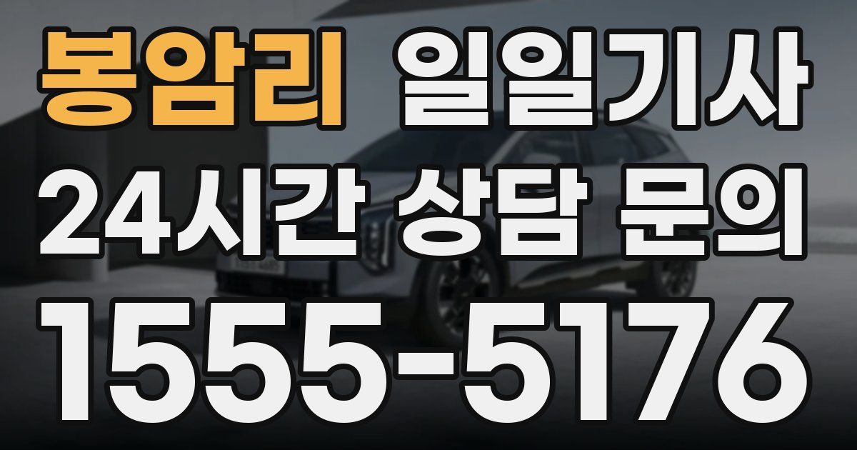 일일대리기사