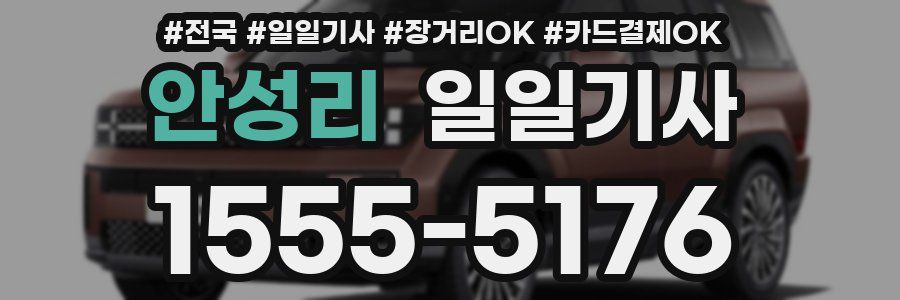 안성리 일일기사