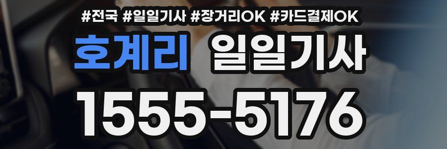 호계리 일일기사