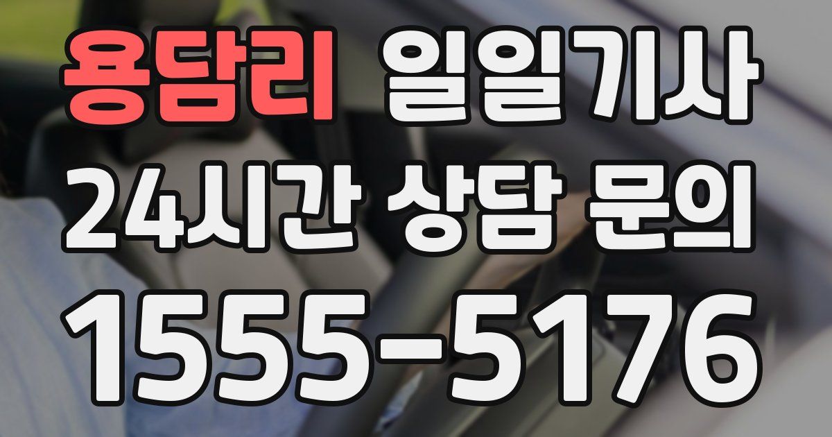 일일대리기사