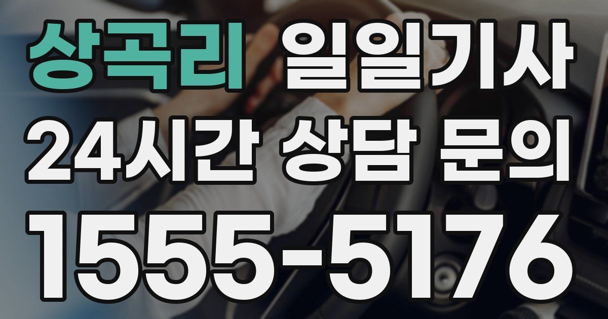 일일대리기사