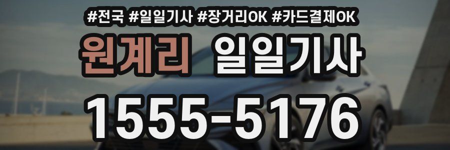 원계리 일일기사