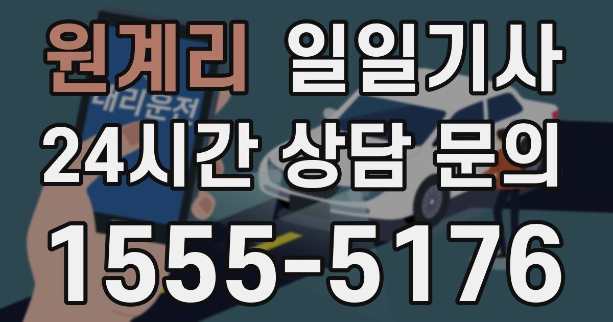 일일대리기사