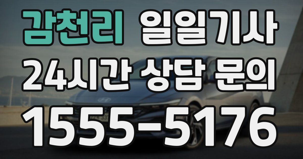 일일대리기사