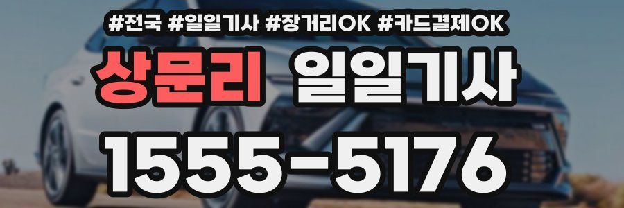 상문리 일일기사