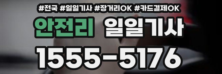 안전리 일일기사