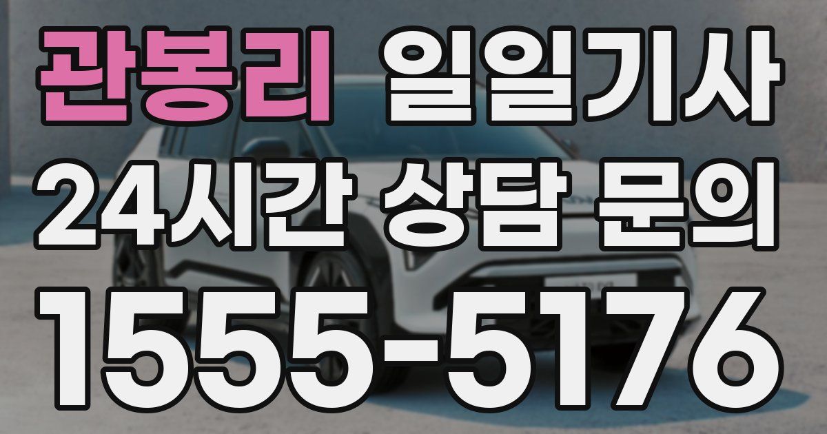 일일대리기사
