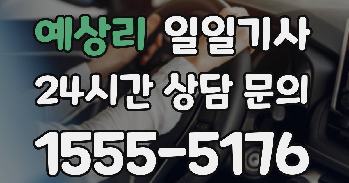 일일대리기사