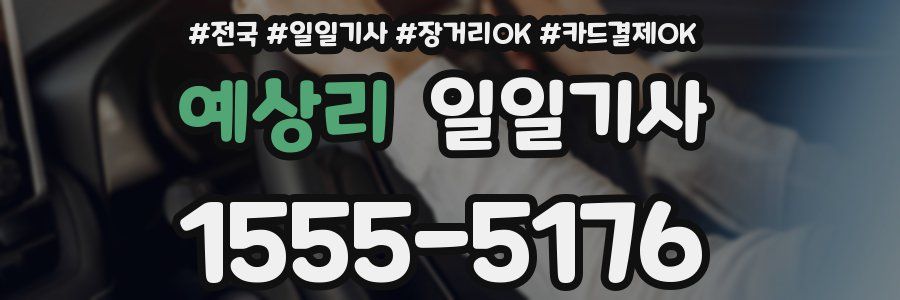 예상리 일일기사