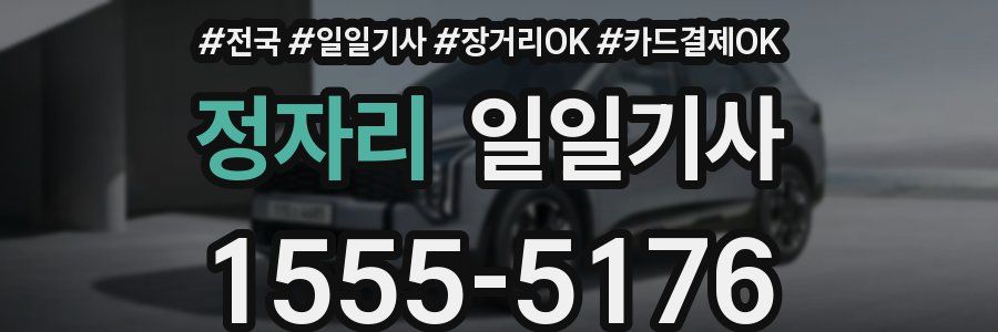 정자리 일일기사