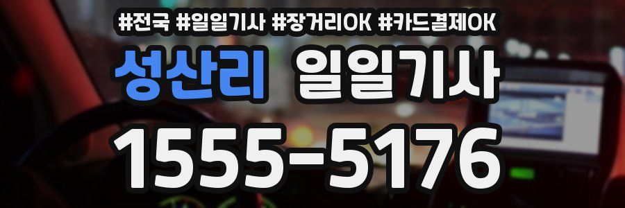 성산리 일일기사