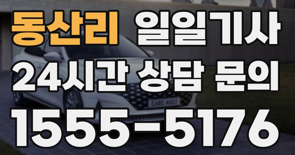 일일대리기사