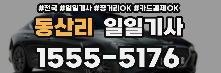 동산리 일일기사