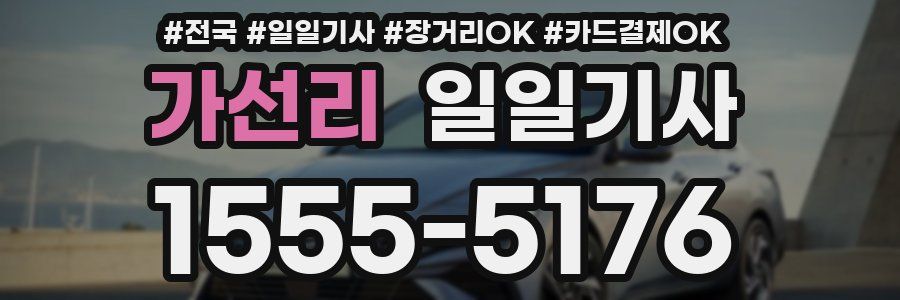 가선리 일일기사