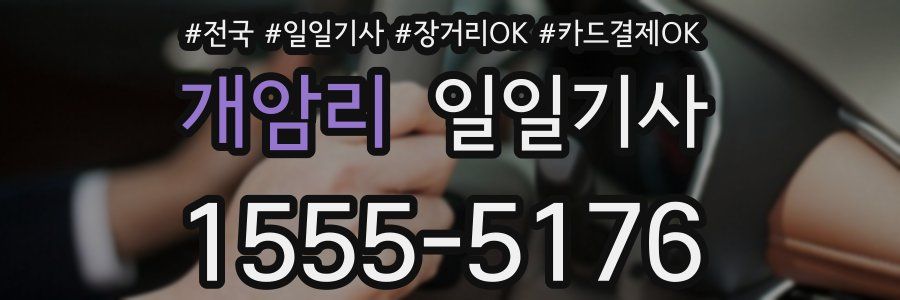 개암리 일일기사