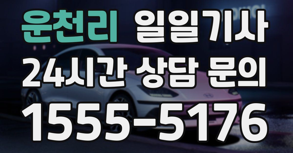 일일대리기사