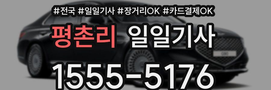 평촌리 일일기사