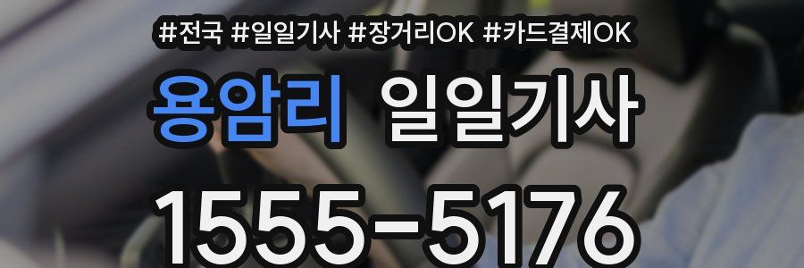 용암리 일일기사