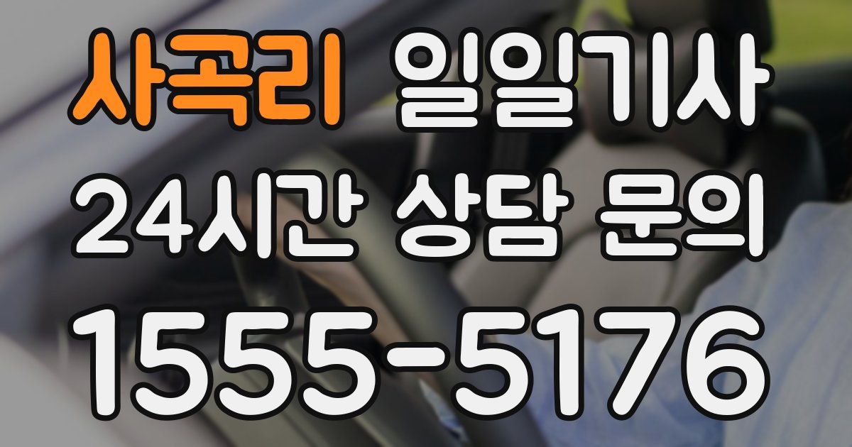 일일대리기사