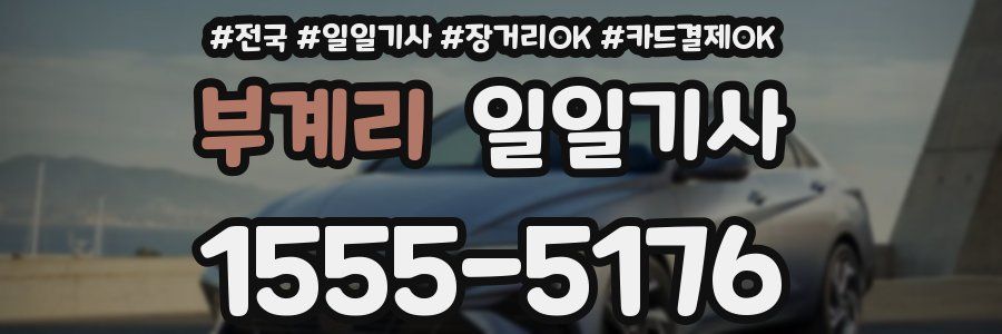 부계리 일일기사