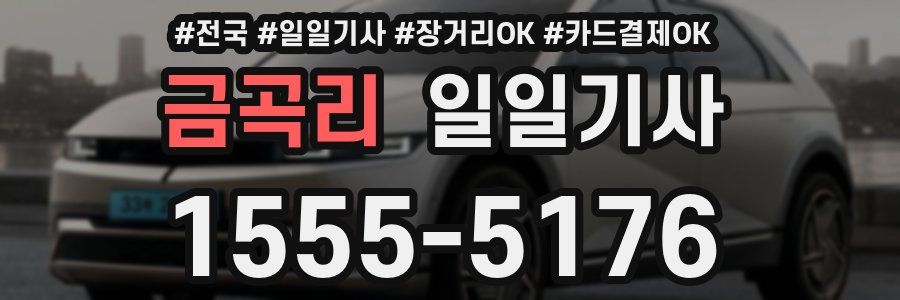 금곡리 일일기사