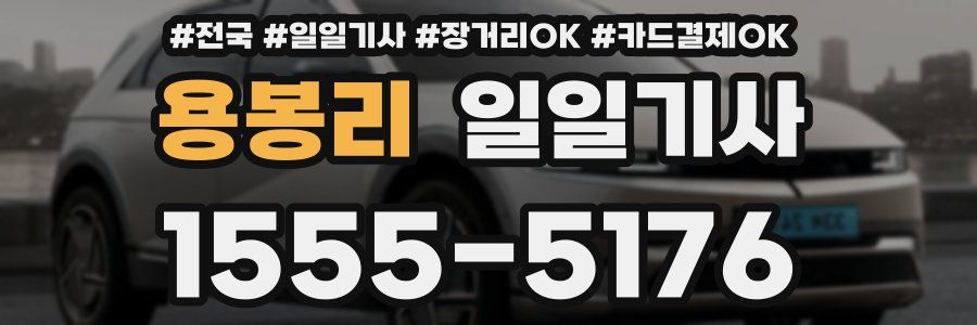 용봉리 일일기사